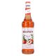 Sirope Monin Pfirsich 1,00 Litro (R) 1.00 L.